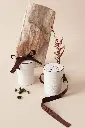 20210222_吃茶三千_0144.webp
